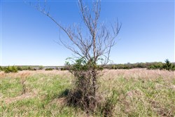 Prairie Grove Tract 25