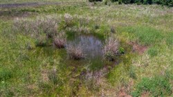 property photo for Prairie Grove Tract 26, 7.38 acres for sale in Okfuskee County, Oklahoma