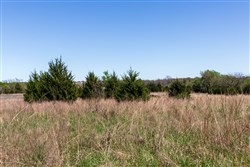 property photo for Prairie Grove Tract 26, 7.38 acres for sale in Okfuskee County, Oklahoma