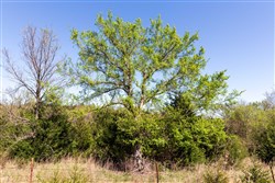 Prairie Grove Tract 8