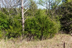 Prairie Grove Tract 8