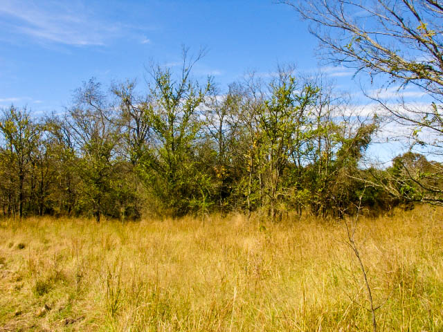 Tract 10 at Saddlebrook Ranch in Okfuskee County, Oklahoma
