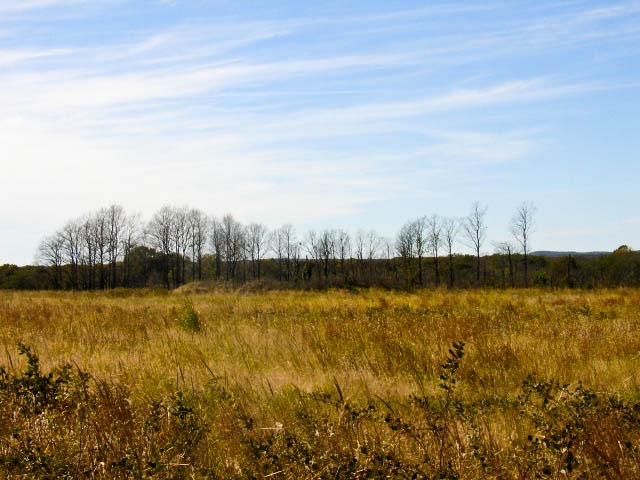Tract 11 at Saddlebrook Ranch in Okfuskee County, Oklahoma