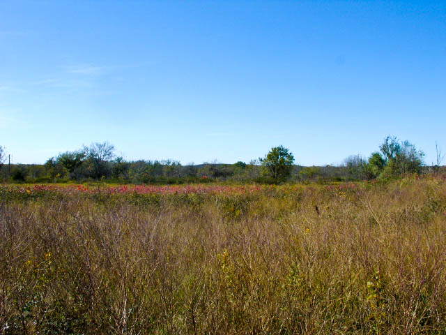 Tract 16 at Saddlebrook Ranch in Okfuskee County, Oklahoma