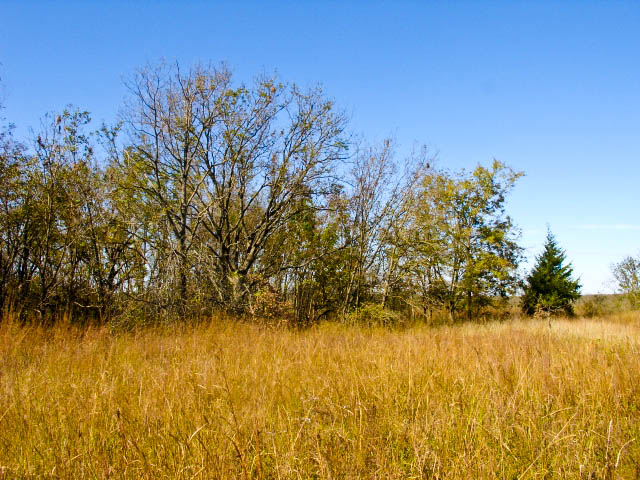 Tract 17 at Saddlebrook Ranch in Okfuskee County, Oklahoma