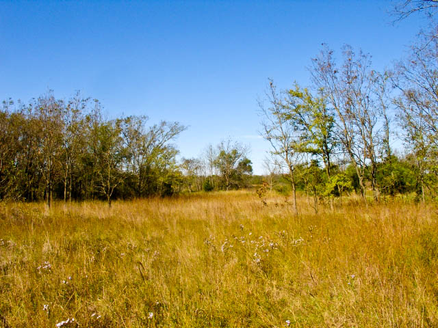 Tract 18 at Saddlebrook Ranch in Okfuskee County, Oklahoma