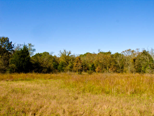 Tract 19 at Saddlebrook Ranch in Okfuskee County, Oklahoma