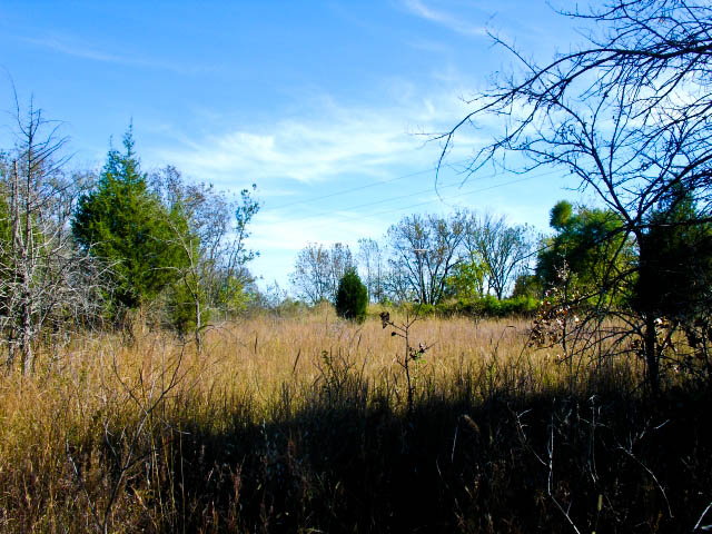Tract 20 at Saddlebrook Ranch in Okfuskee County, Oklahoma