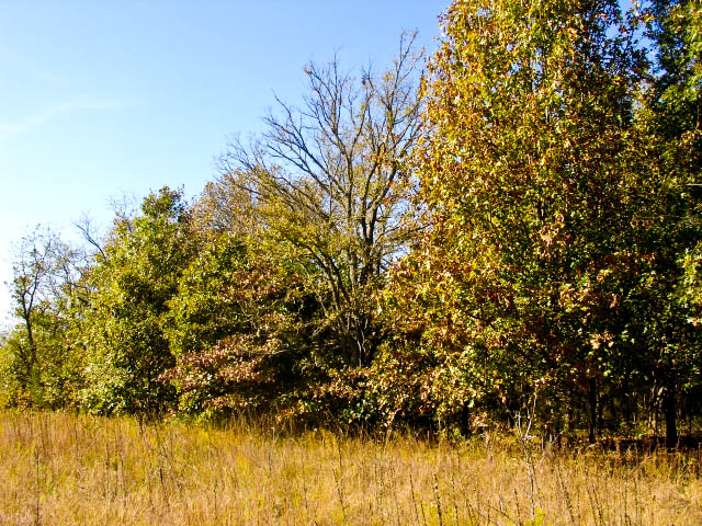 Tract 21 at Saddlebrook Ranch in Okfuskee County, Oklahoma