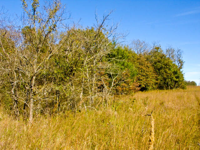Tract 22 at Saddlebrook Ranch in Okfuskee County, Oklahoma