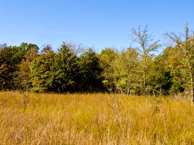 Tract 29 at Saddlebrook Ranch in Okfuskee County, Oklahoma