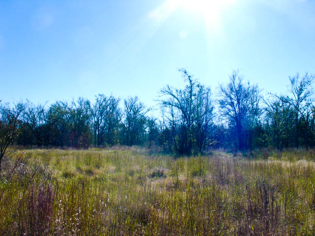 Tract 30 at Saddlebrook Ranch in Okfuskee County, Oklahoma