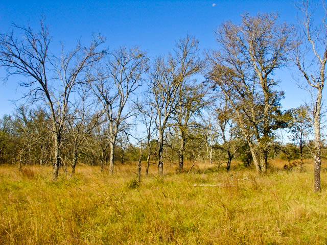 Tract 31 at Saddlebrook Ranch in Okfuskee County, Oklahoma