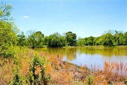 property photo for Saddlebrook Ranch Tract 35, 15 acres for sale in Okfuskee County, Oklahoma