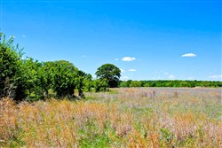 property photo for Saddlebrook Ranch Tract 35, 15 acres for sale in Okfuskee County, Oklahoma
