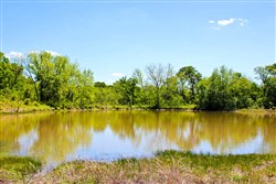 property photo for Saddlebrook Ranch Tract 35, 15 acres for sale in Okfuskee County, Oklahoma
