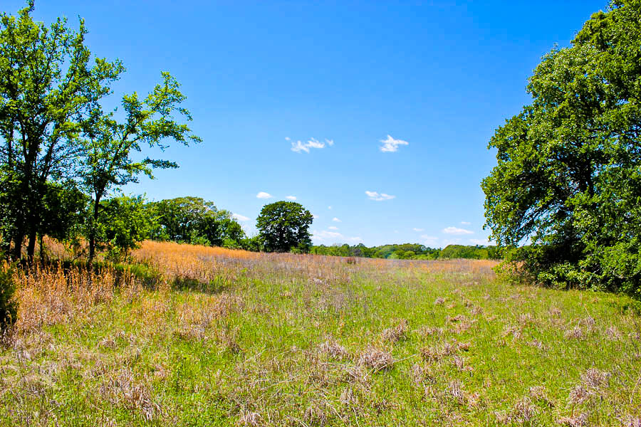 Tract 38 at Saddlebrook Ranch in Okfuskee County, Oklahoma
