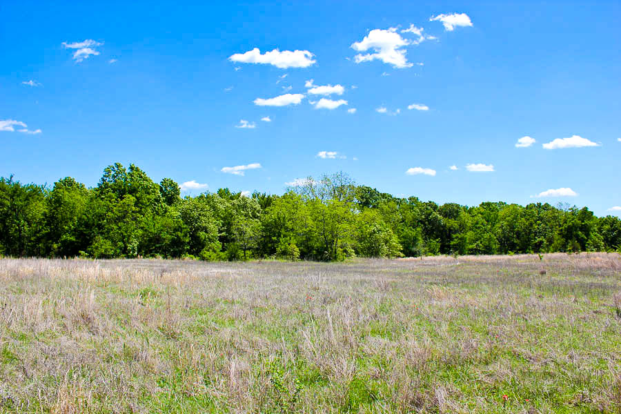 Tract 40 at Saddlebrook Ranch in Okfuskee County, Oklahoma