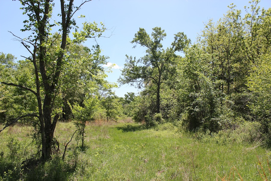 Tract 41 at Saddlebrook Ranch in Okfuskee County, Oklahoma