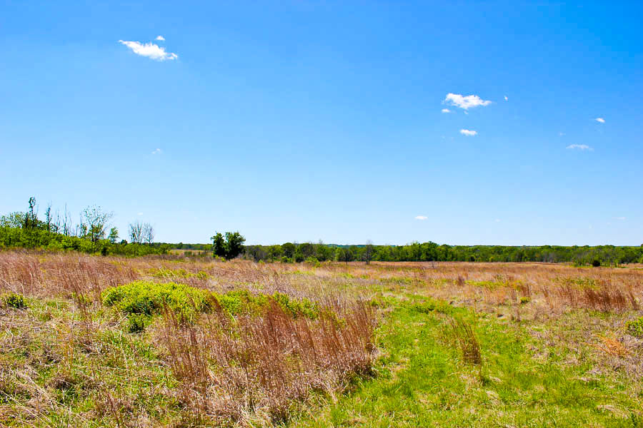 Tract 5 at Saddlebrook Ranch in Okfuskee County, Oklahoma