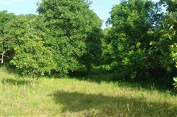 property photo for Silver Moon Ranch Tract 1, 5 acres for sale in Okfuskee County, Oklahoma