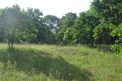 property photo for Silver Moon Ranch Tract 1, 5 acres for sale in Okfuskee County, Oklahoma