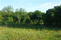 property photo for Silver Moon Ranch Tract 10, 13.43 acres for sale in Okfuskee County, Oklahoma