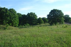 property photo for Silver Moon Ranch Tract 10, 13.43 acres for sale in Okfuskee County, Oklahoma