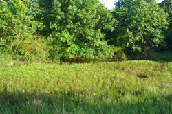 property photo for Silver Moon Ranch Tract 10, 13.43 acres for sale in Okfuskee County, Oklahoma