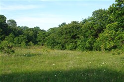 property photo for Silver Moon Ranch Tract 10, 13.43 acres for sale in Okfuskee County, Oklahoma