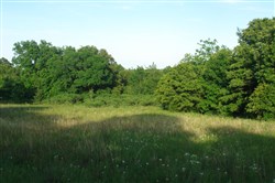 property photo for Silver Moon Ranch Tract 10, 13.43 acres for sale in Okfuskee County, Oklahoma
