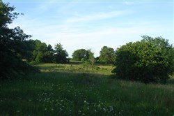 property photo for Silver Moon Ranch Tract 11, 14.99 acres for sale in Okfuskee County, Oklahoma