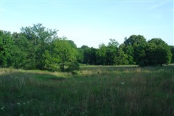 property photo for Silver Moon Ranch Tract 11, 14.99 acres for sale in Okfuskee County, Oklahoma