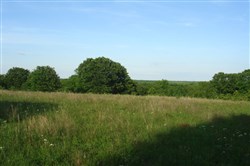 property photo for Silver Moon Ranch Tract 11, 14.99 acres for sale in Okfuskee County, Oklahoma