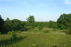 property photo for Silver Moon Ranch Tract 11, 14.99 acres for sale in Okfuskee County, Oklahoma