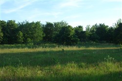 property photo for Silver Moon Ranch Tract 14, 20 acres for sale in Okfuskee County, Oklahoma