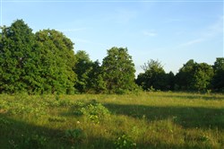 property photo for Silver Moon Ranch Tract 14, 20 acres for sale in Okfuskee County, Oklahoma