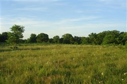 property photo for Silver Moon Ranch Tract 14, 20 acres for sale in Okfuskee County, Oklahoma