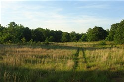 property photo for Silver Moon Ranch Tract 14, 20 acres for sale in Okfuskee County, Oklahoma