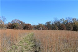 property photo for Silver Moon Ranch Tract 16, 20 acres for sale in Okfuskee County, Oklahoma