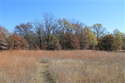 property photo for Silver Moon Ranch Tract 16, 20 acres for sale in Okfuskee County, Oklahoma