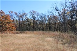 property photo for Silver Moon Ranch Tract 16, 20 acres for sale in Okfuskee County, Oklahoma