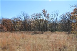 property photo for Silver Moon Ranch Tract 16, 20 acres for sale in Okfuskee County, Oklahoma