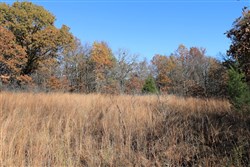 property photo for Silver Moon Ranch Tract 16, 20 acres for sale in Okfuskee County, Oklahoma
