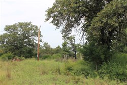property photo for Silver Moon Ranch Tract 3, 5 acres for sale in Okfuskee County, Oklahoma