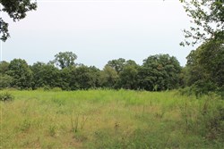 property photo for Silver Moon Ranch Tract 3, 5 acres for sale in Okfuskee County, Oklahoma