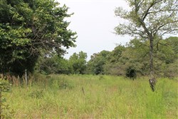 property photo for Silver Moon Ranch Tract 3, 5 acres for sale in Okfuskee County, Oklahoma