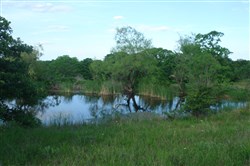 property photo for Silver Moon Ranch Tract 4, 6.16 acres for sale in Okfuskee County, Oklahoma