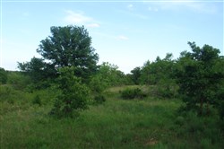 property photo for Silver Moon Ranch Tract 4, 6.16 acres for sale in Okfuskee County, Oklahoma