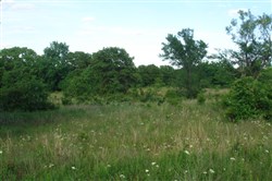 property photo for Silver Moon Ranch Tract 4, 6.16 acres for sale in Okfuskee County, Oklahoma